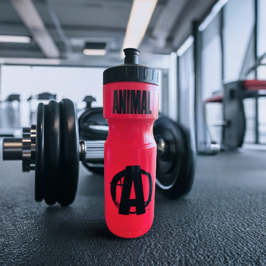 Stay fueled and focused with the Animal Water Bottle, built for athletes who demanded durability and performance.